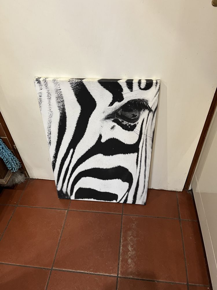 Obraz zebra 50 x 60 cm czerń biel klasyka nadruk na płótnie