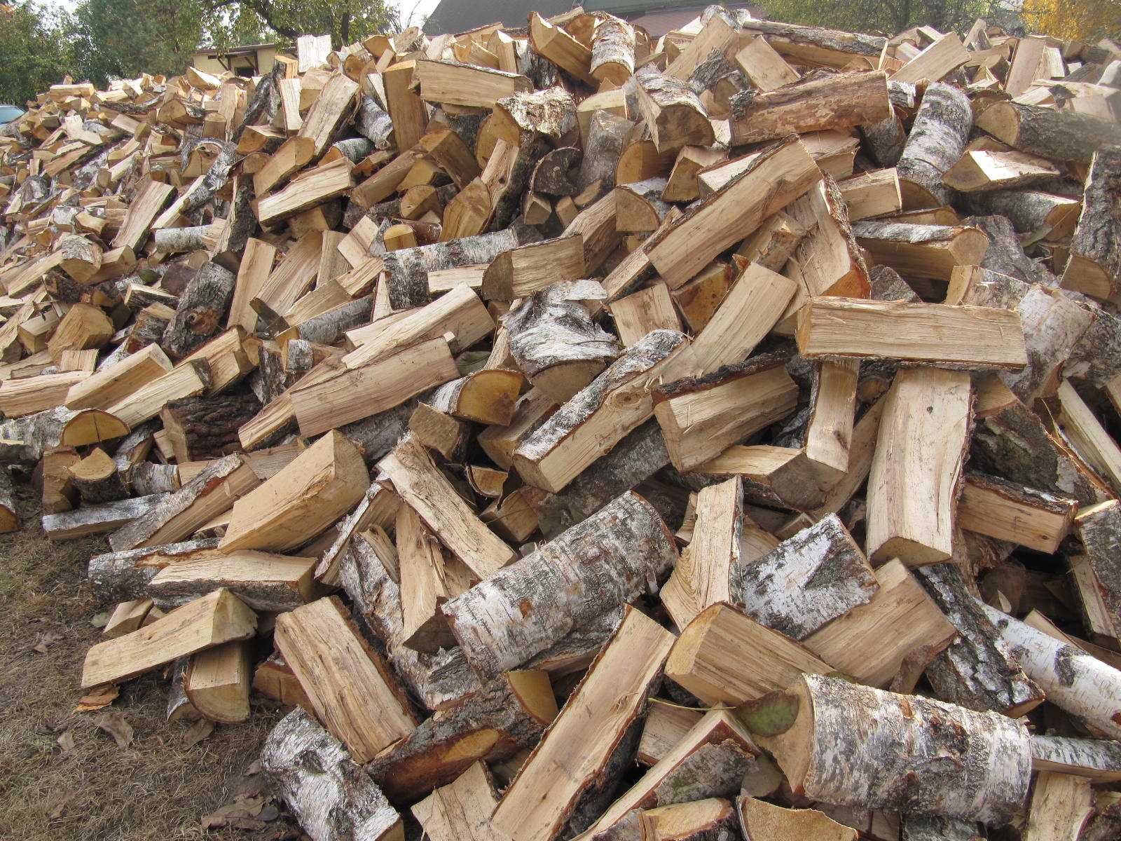 Drewno Kominkowe, Opałowe- Brzoza oraz inne gatunki