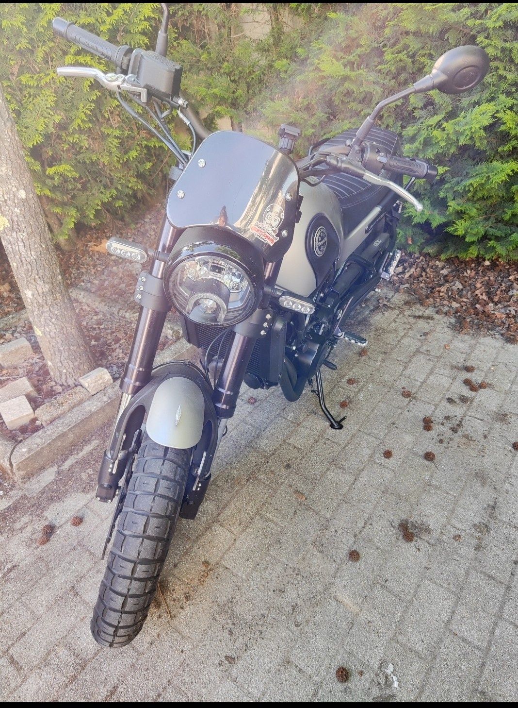 Benelli leoncino 500 trail 2019