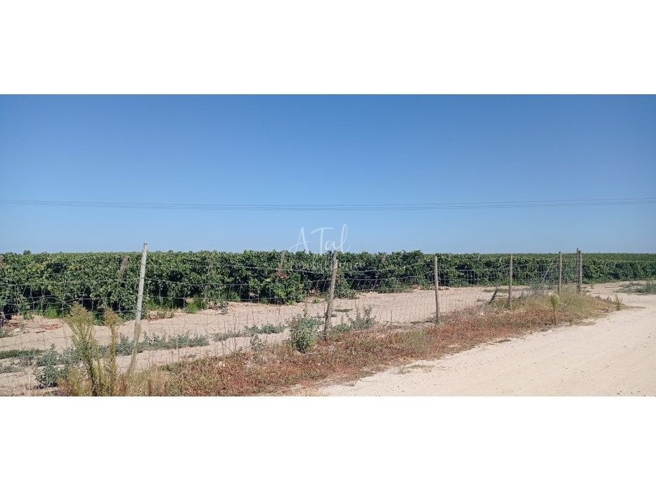 Terreno com Armazém e moradia - POCEIRÃO