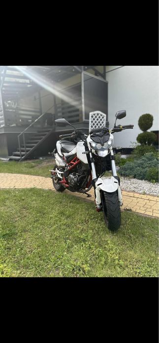 Benelli tnt 125  2019r