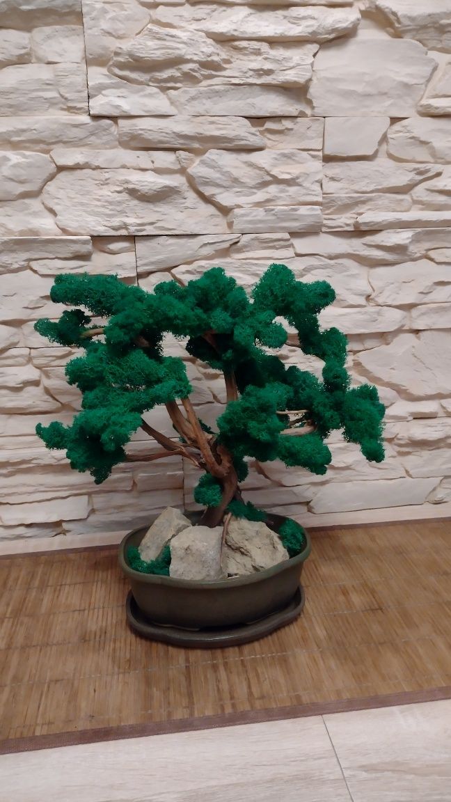 Tanio!BONSAI/DUŻE Drzewko z mchu chrobotka/35x37,hand made