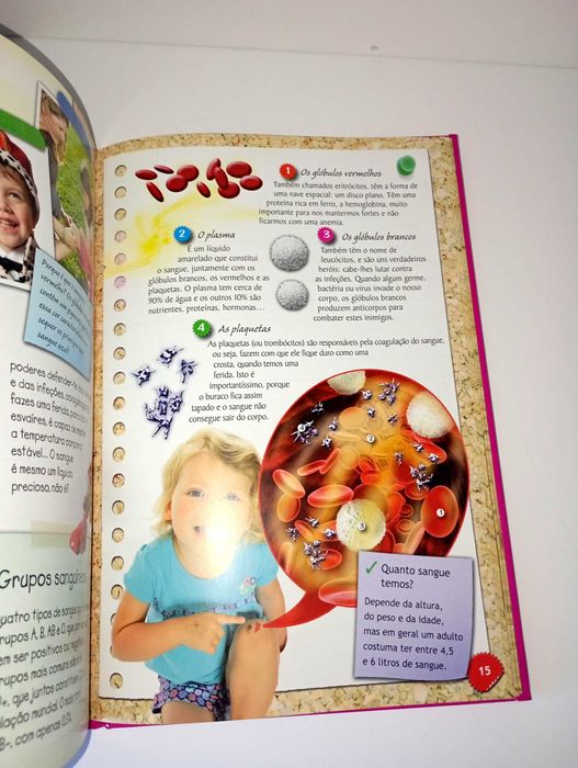 O Corpo humano uma máquina perfeita