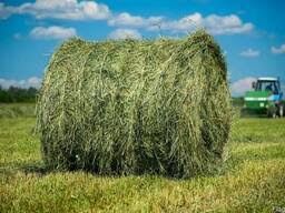 Сіно в тюках та рулонах з доставкою