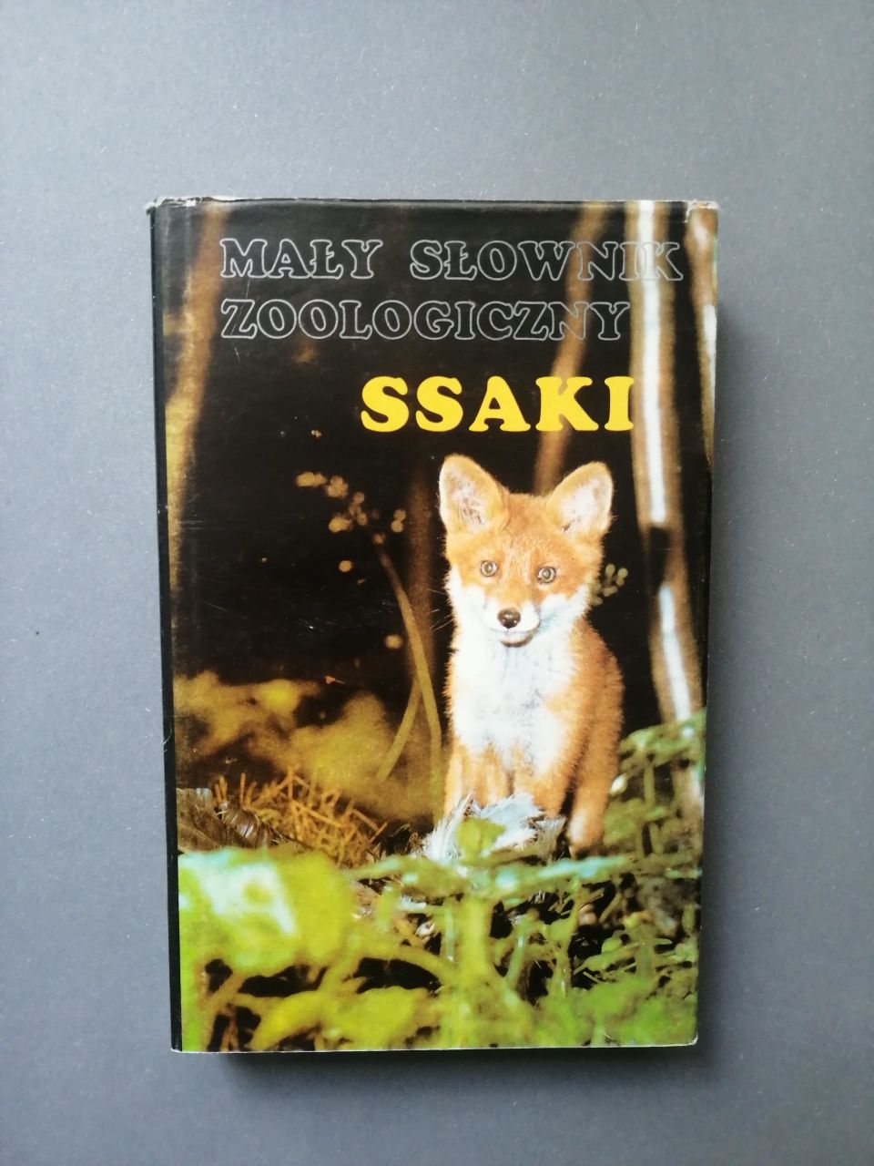 Mały słownik zoologiczny ssaki 1991