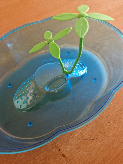 Tartarugueira Pequena