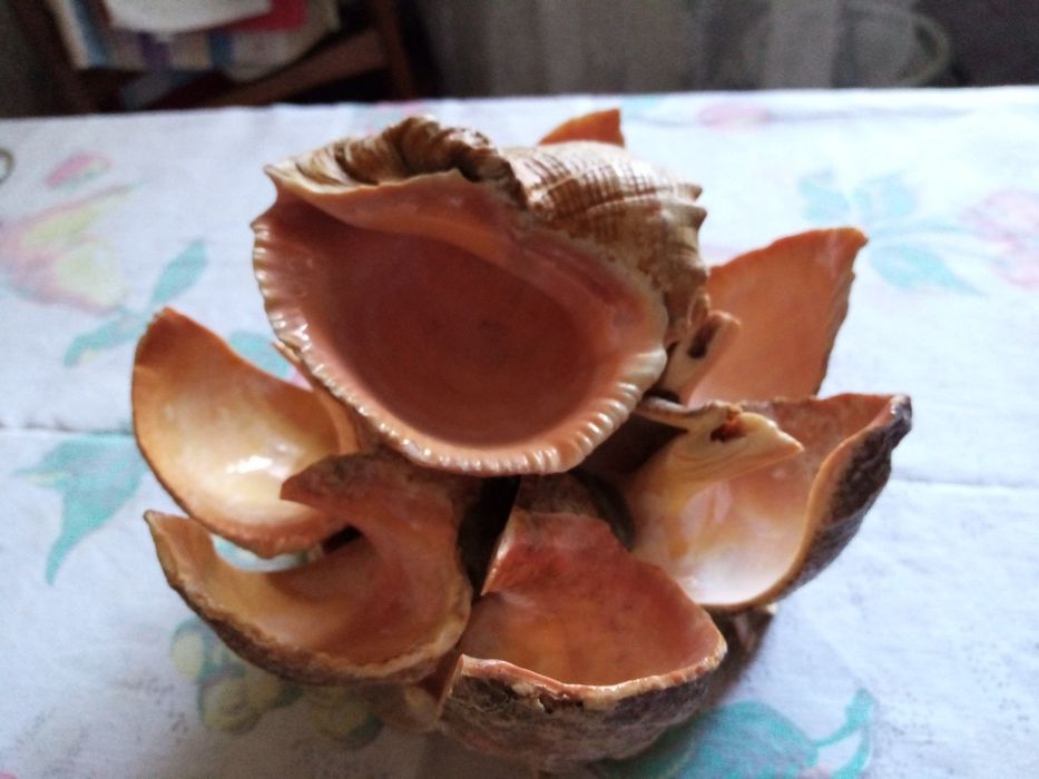 Сувенир из Ялты. Украшение для аквариума или интерьера