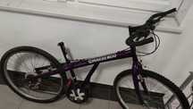 Oddam rower Girardengo