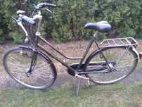Rower damski klasyk koga miyata