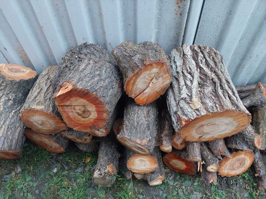 Дрова фруктовые, абрикос