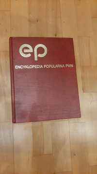 Encyklopedia popularna PWN 1996r. Stan idealny