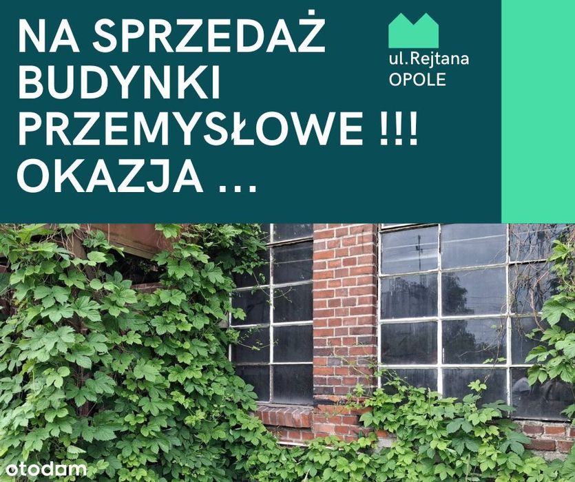 Hala produkcyjna magazynowa hala 1954m2