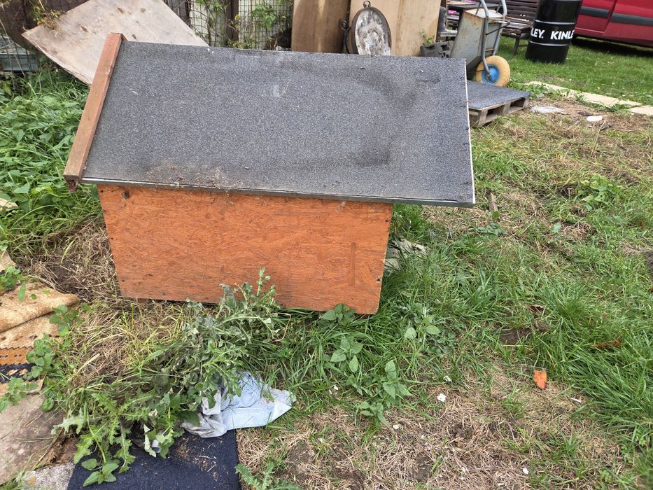 Buda dla psa na zime