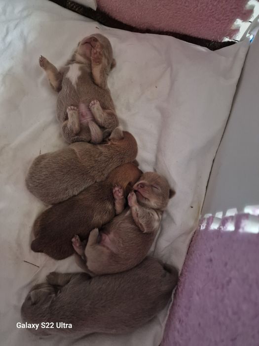 Продажу закінчено!