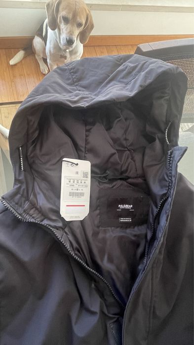 Blusao Pull & Bear - M - Novo