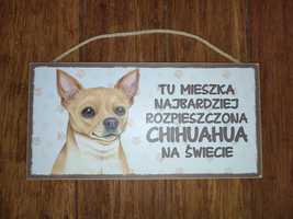 Tabliczka chihuahua