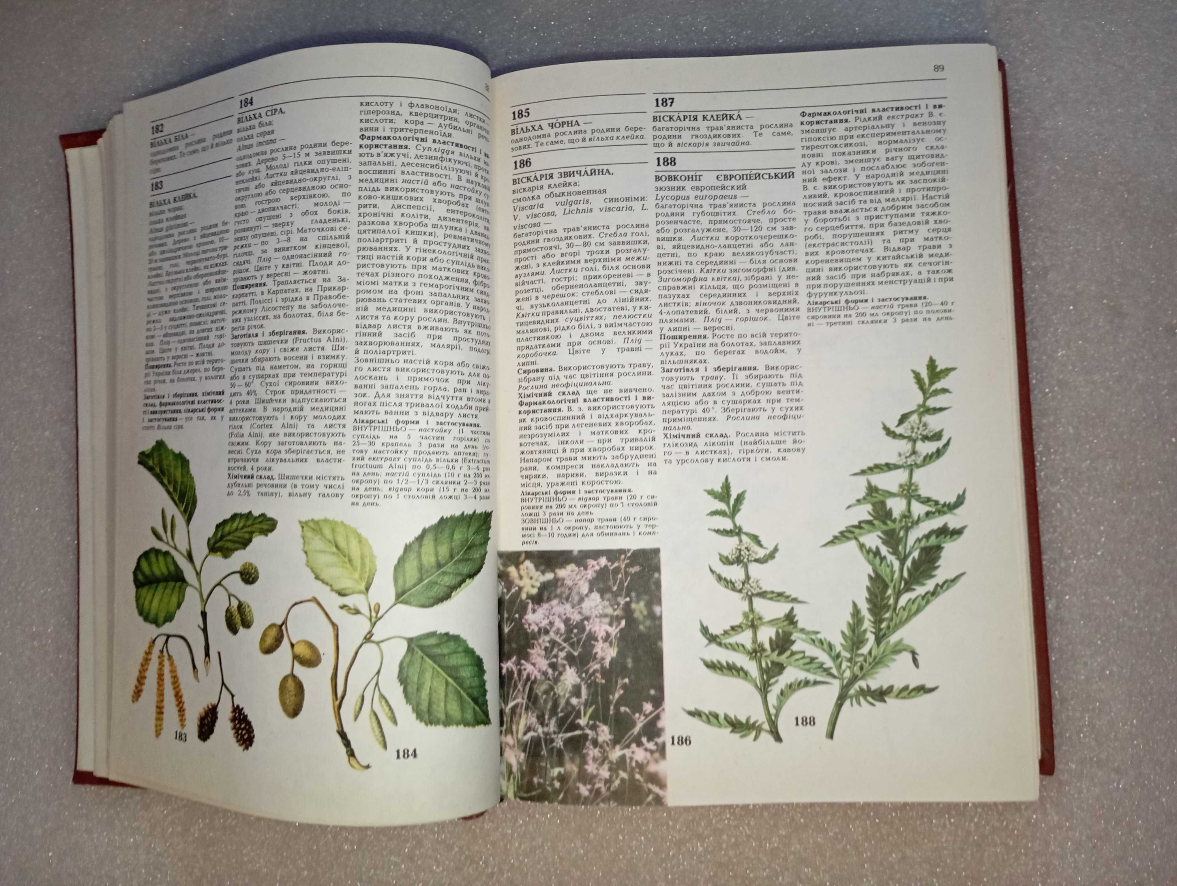 Лікарські рослини - А. М. Гродзінський 1991