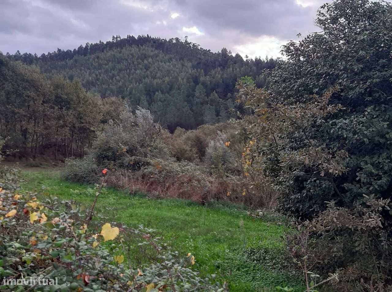 Vende Quinta em Paraíso Castelo Paiva