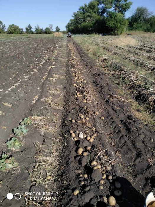 Міні трактор саморобний