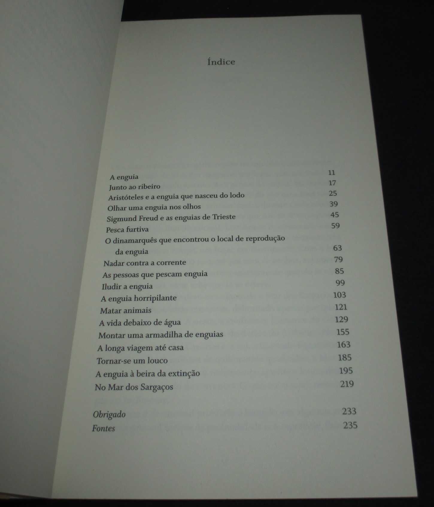 Livro O Evangelho das Enguias Patrik Svensson