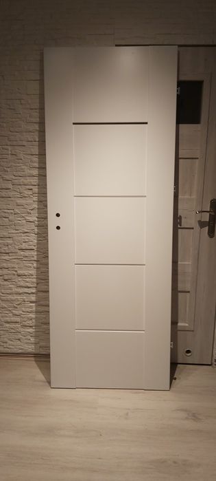 Drzwi Pegasus Świetlista Biel