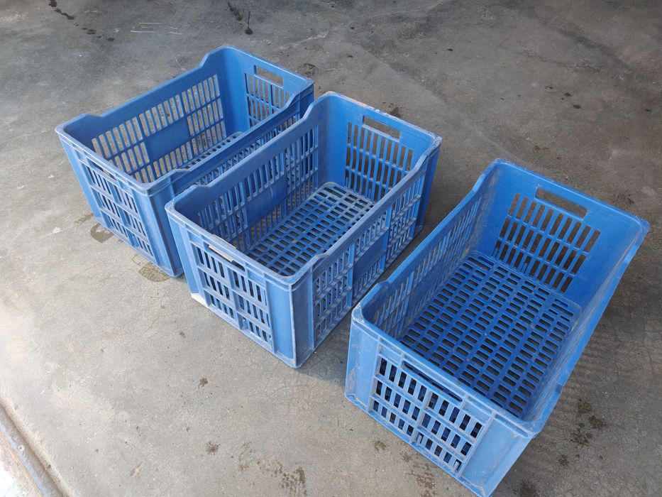 Caixas de Plástico 50x30x27