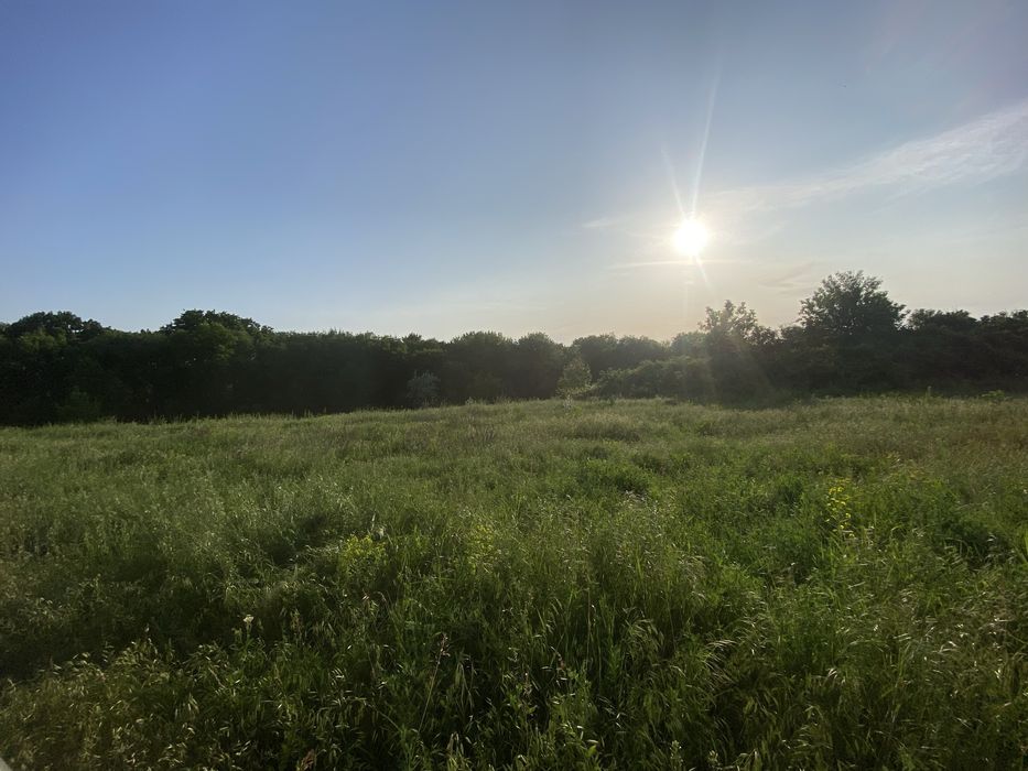 Ділянка на Черняхівкі, Черняховка, Черняховское