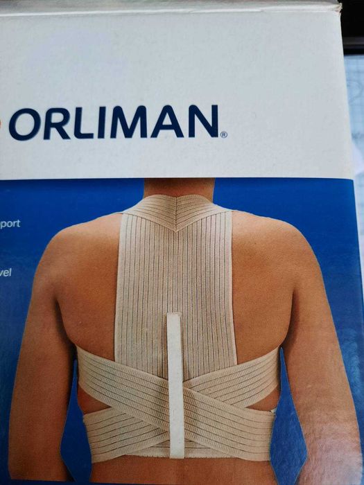 Фиксатор грудного отдела (реклинатор)