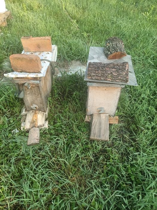 Бджолосімї, бджолопакети (отводки) Карпатка