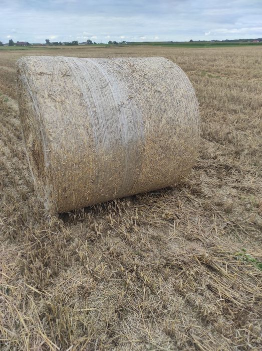 Słoma bele 120*120,transport