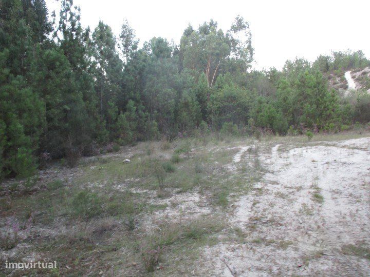 Terreno em São Pedro do Sul, Sul