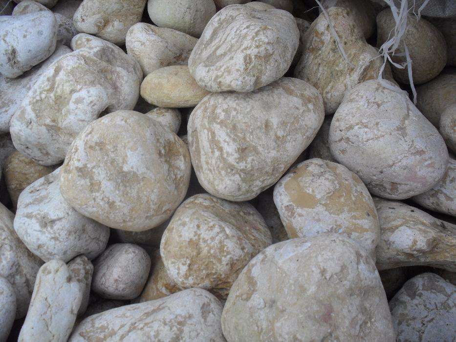 Seixo branco decorativo para jardim