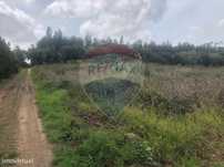 Terreno  para venda