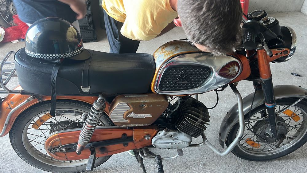 Troco efs por papagaio africano