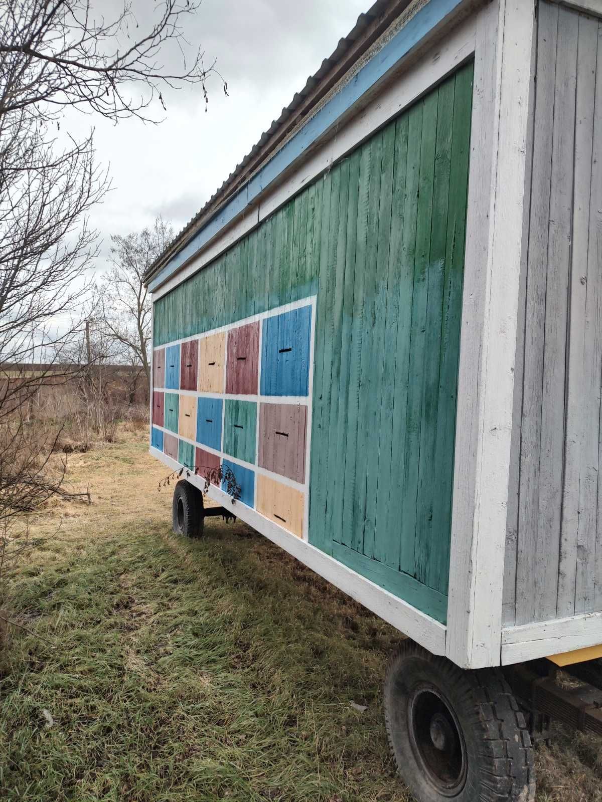 Павільйон для бджіл.