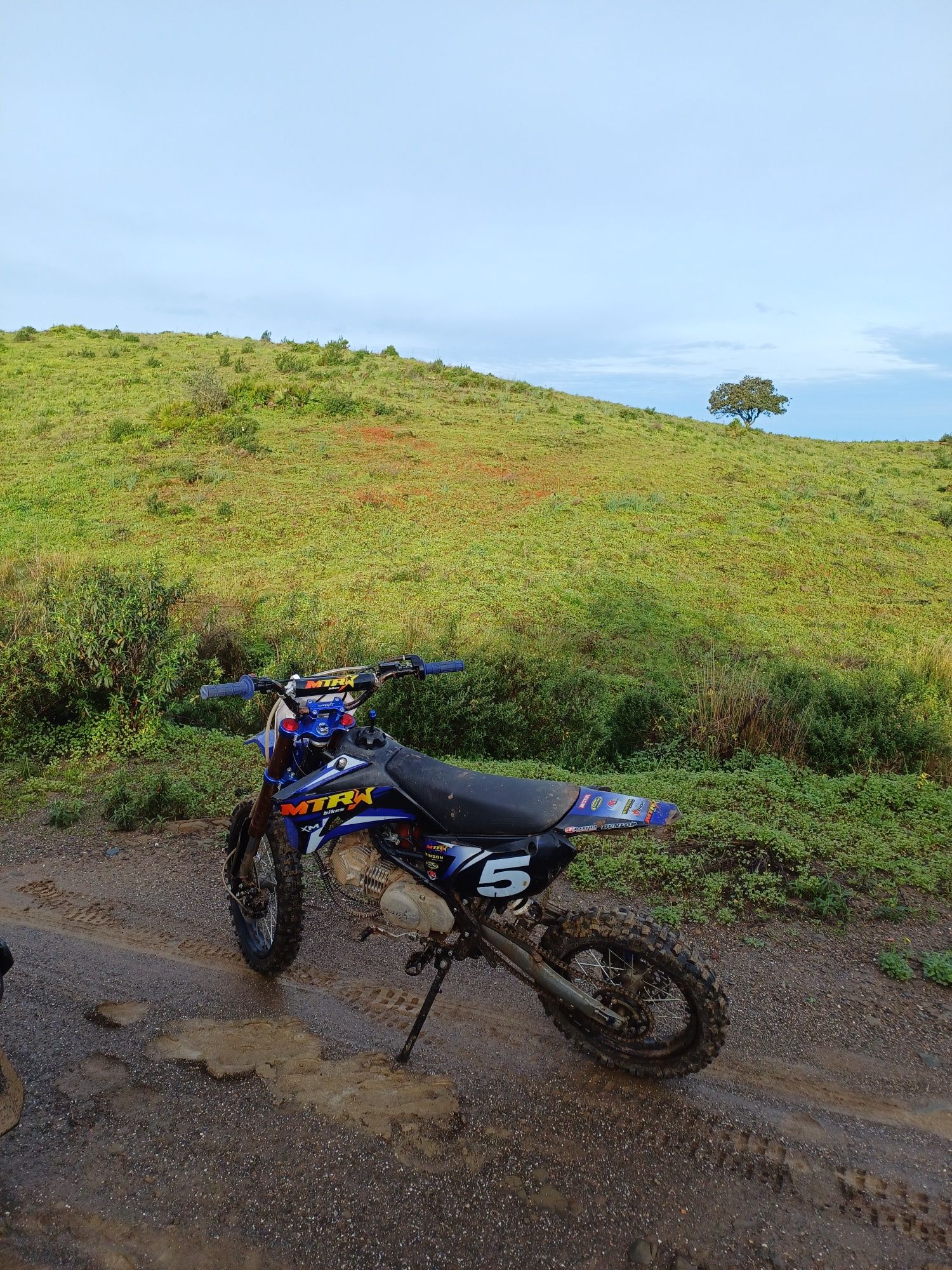 Vendo/troco pitbike malcor mtr 160cc