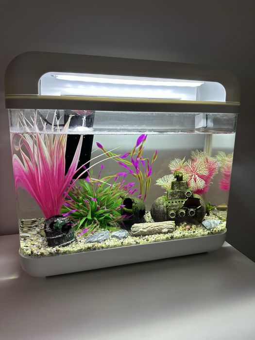 Akwarium wraz z zawaroscią