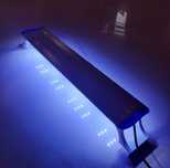 Nowa Lampa belka LED do akwarium 13W