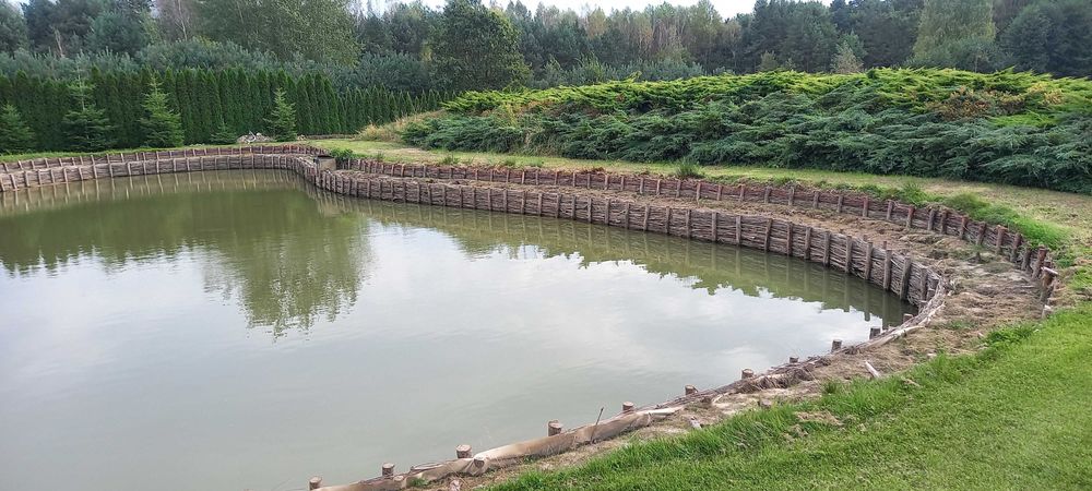 melioracje faszynowanie rzek stawów i rowów faszyna kołki