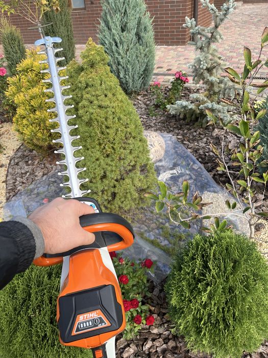 Садівник| Газон | Стрижка хвойних. Обрізка дерев