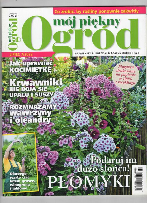 Mój Piękny Ogród 7/2022 Płomyki, Jak uprawiać kocimiętkę Letnie cięcia