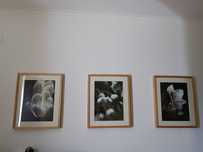 Quadros decorativos Ikea