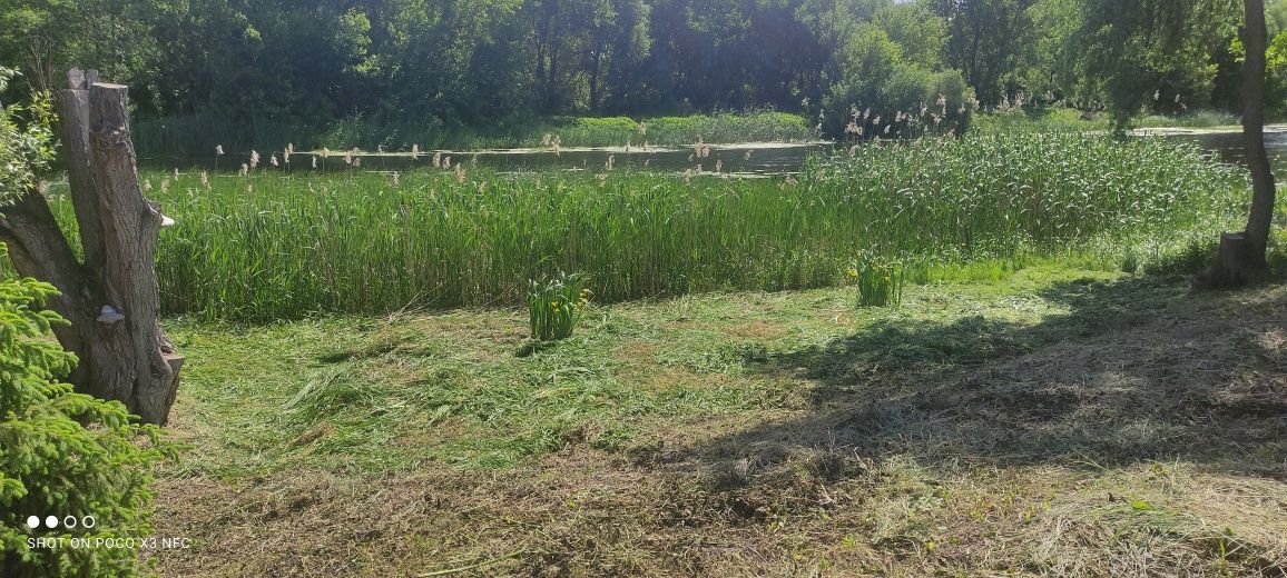 Дача с. Полонки на березі річки Удай