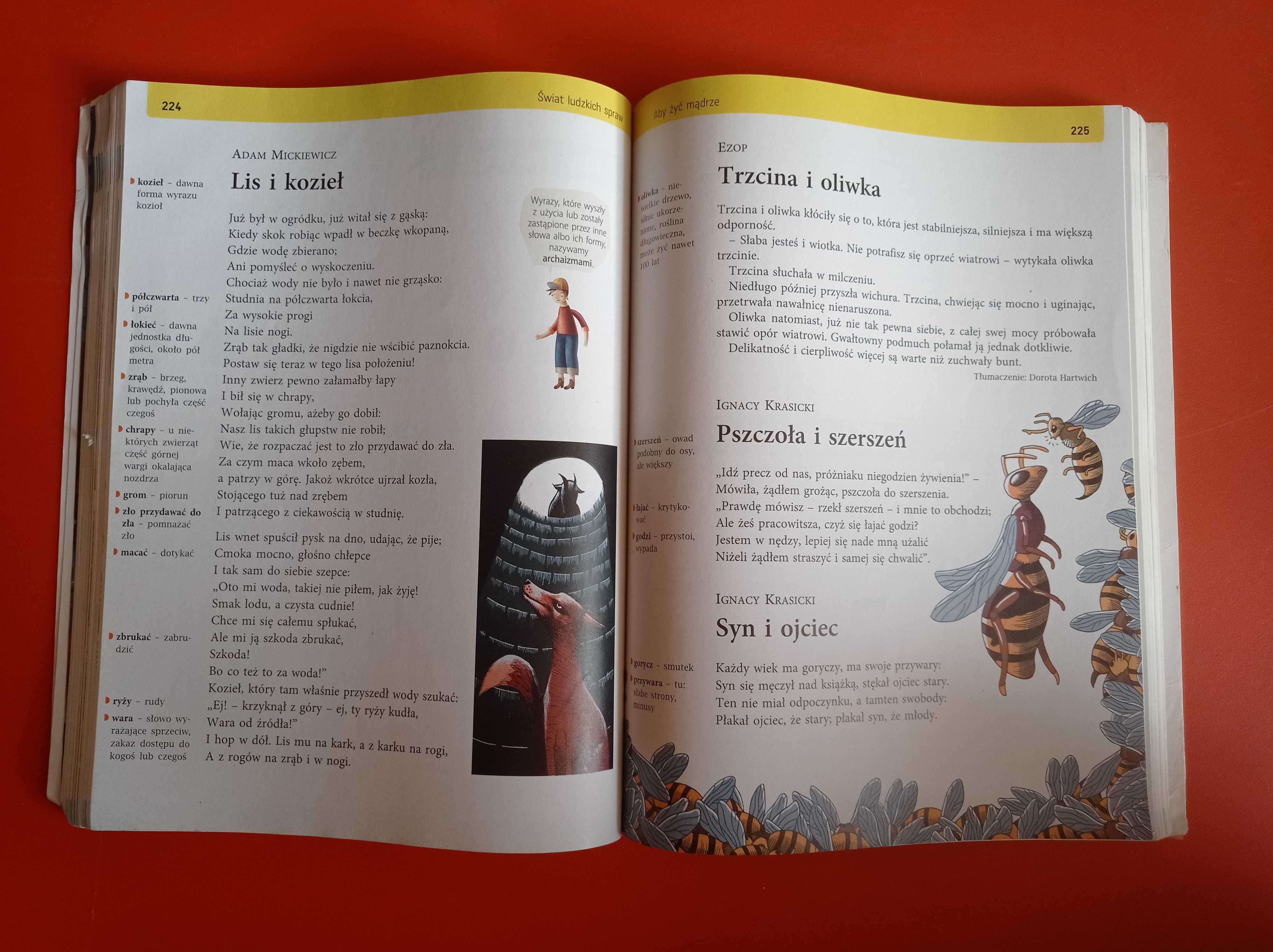 Między nami 5, język polski, podręcznik, Agnieszka Łuczak Anna Murdzek