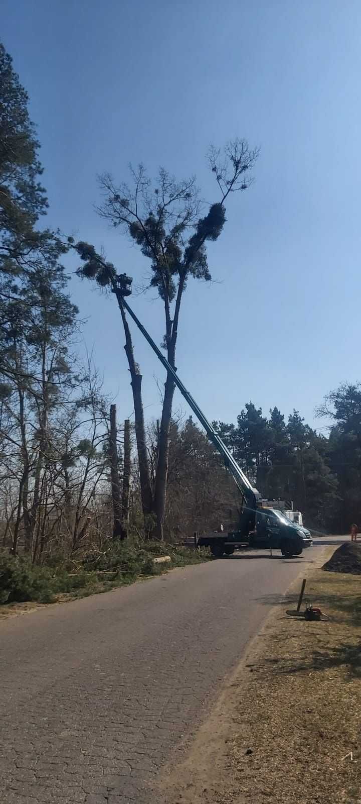 Wycinka Drzew Karczowanie Sprzątanie Działek Wywóz Gałęzi Radom