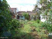 Terreno Urbano, 2 lotes / Entroncamento (Centro)