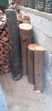 Troncos madeira cerejeira pinho