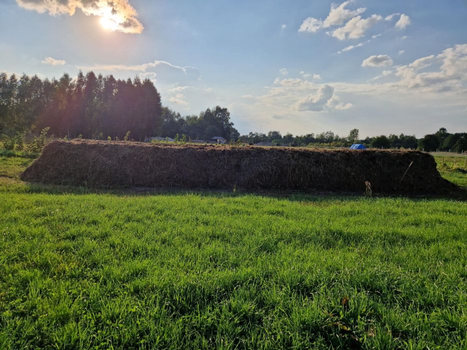Sprzedam obornik bydlęcy