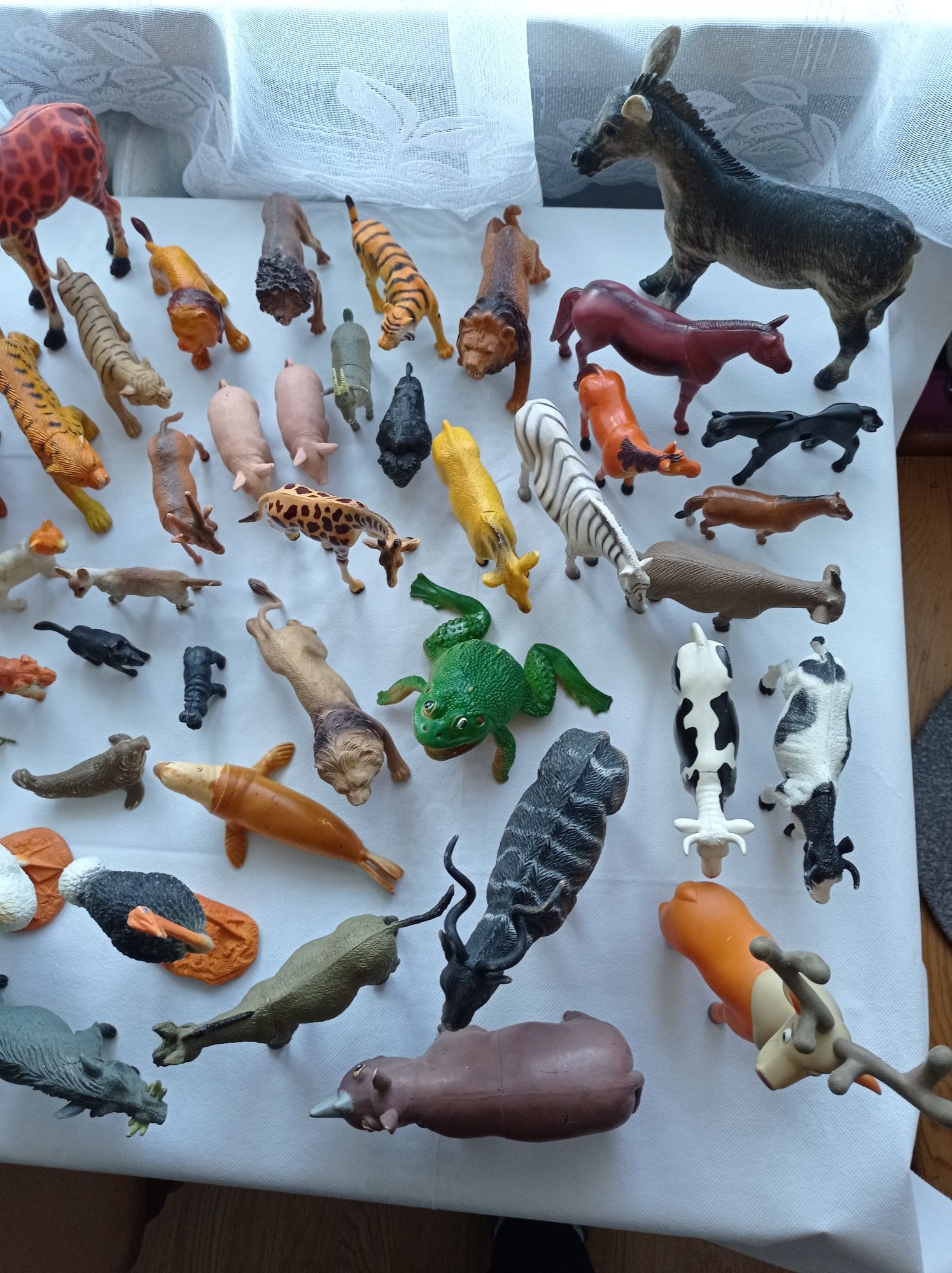 Pokaźna kolekcja Zwierząt i dinozaury