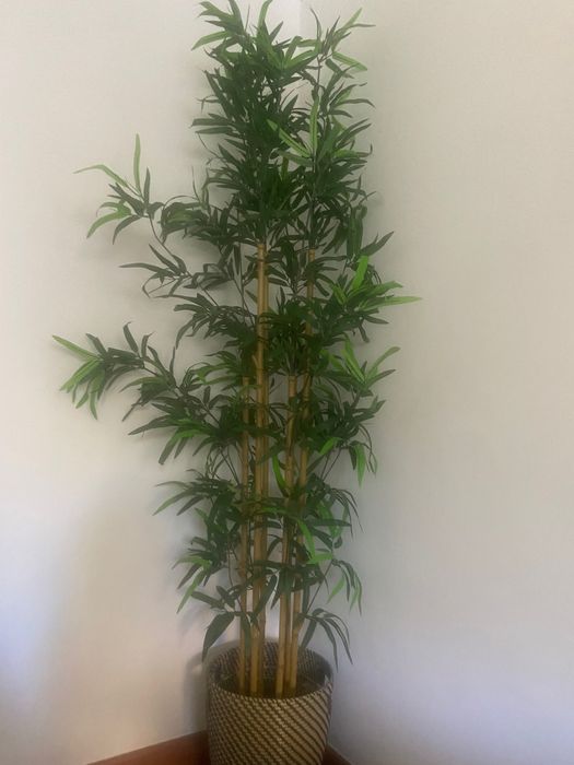 Planta artificial Ikea Fejka com cesto Ragkorn